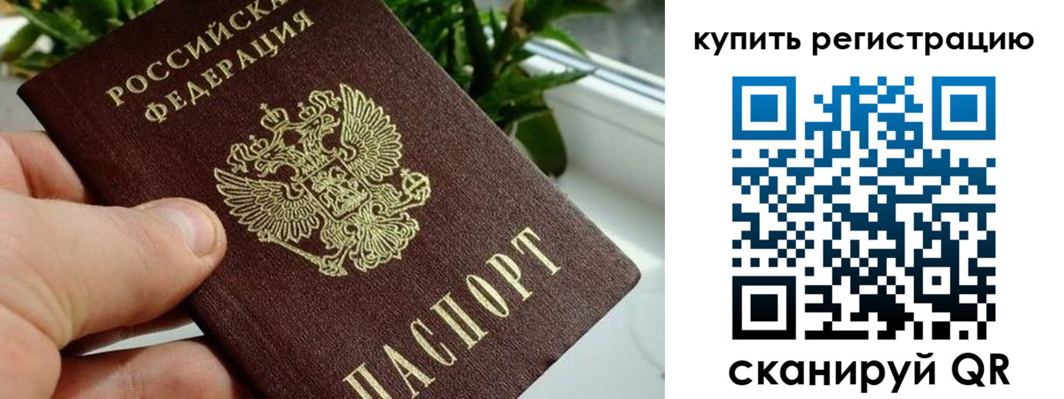 прописка гарантия в Качканаре